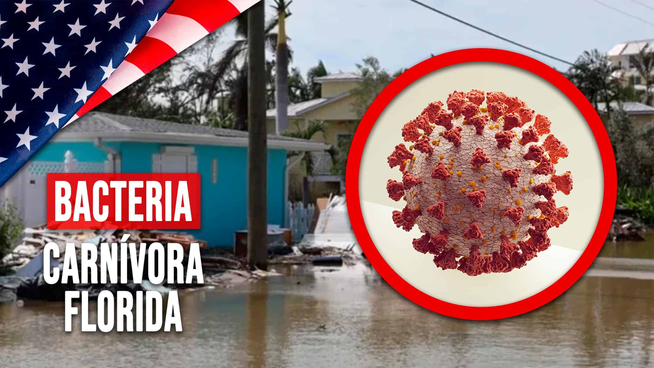 Mortal Bacteria Carnívora Afecta a Florida Tras el Paso de Huracanes Milton y Helene