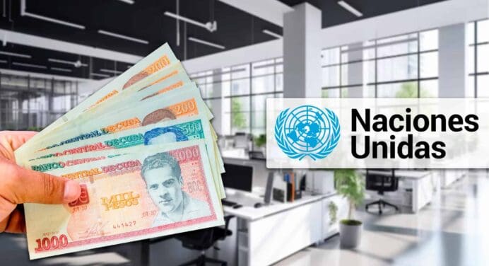 Naciones Unidas Ofrece Empleo en Cuba: Requisitos para Aplicar a la Vacante