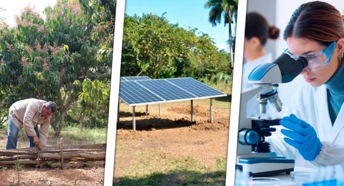 Naciones Unidas Apoya a Cuba en Busca de Desarrollo Sostenible: Conoce los Temas de Cooperación