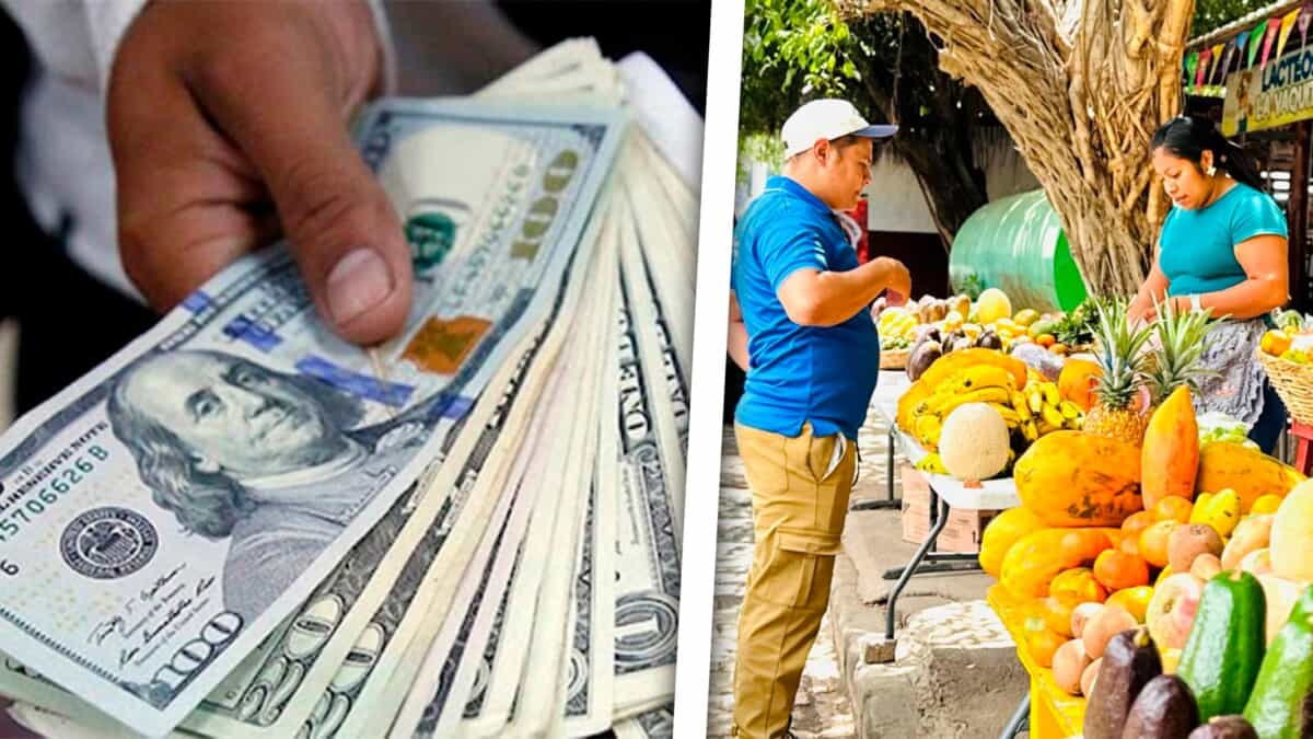 Negocios que Funcionan en Cuba en 2026: Ideas Reales para Ganar Dinero