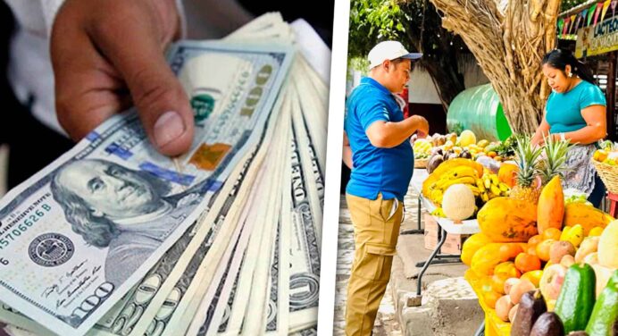 Negocios que Funcionan en Cuba en 2026: Ideas Reales para Ganar Dinero
