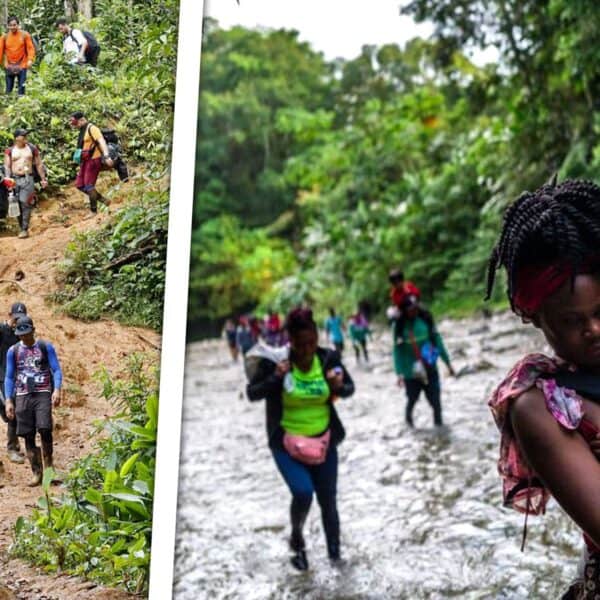 Alarmante: Esta es la Cifra de Niños que Han Cruzado la Selva del Darién Entre 2020 y 2024