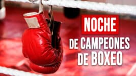 Noche de Campeones de Boxeo en La Habana: Esto Podría Cambiarlo Todo