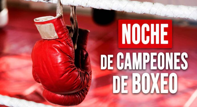 Noche de Campeones de Boxeo en La Habana: Esto Podría Cambiarlo Todo