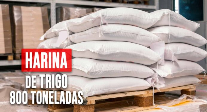 Nueva Donación de Organización Estadounidense a Cuba: 800 Toneladas de Harina de Trigo