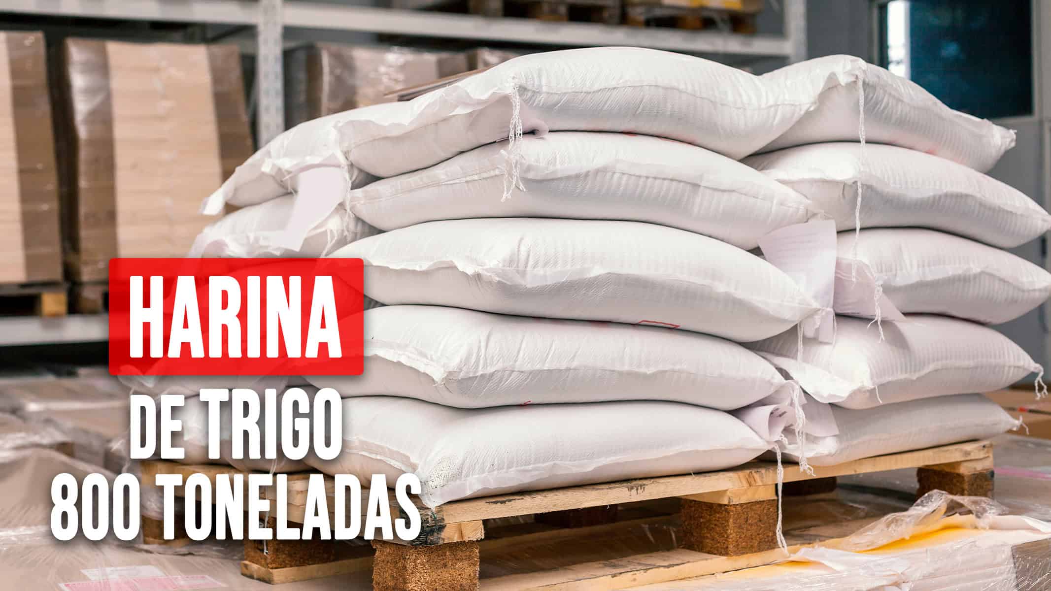 Nueva Donación de Organización Estadounidense a Cuba: 800 Toneladas de Harina de Trigo