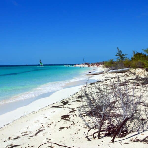 Nueva Oferta de Cubatur a Playa Sirena Enero 2023