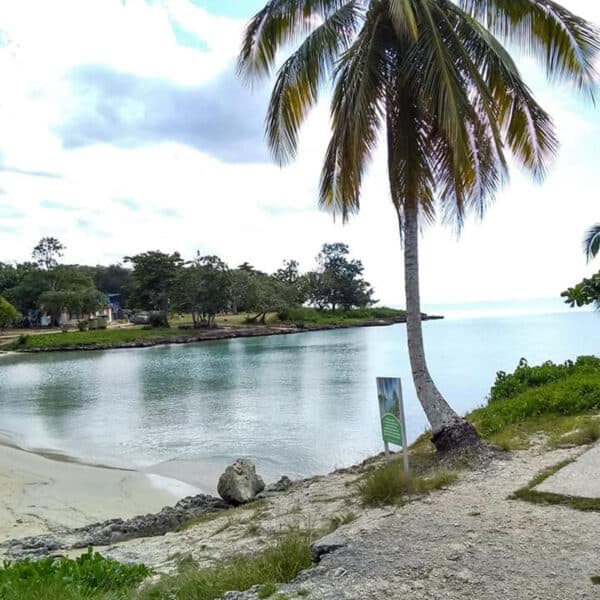 Nueva Oferta de Excursion con Havanatur Hacia el Campismo de Cienaga de Zapata