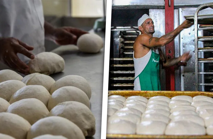 Nuevas Dificultades en la Producción de Pan en Cuba: Esto Explican las Autoridades