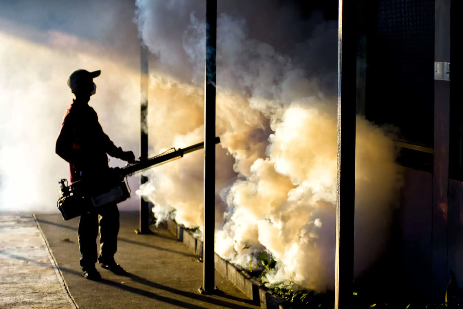 Nuevas Acciones para Enfrentar el Aedes Aegypti en Cuba