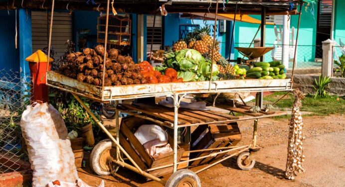 Nuevas Licencias de Trabajo por Cuenta Propia en Cuba