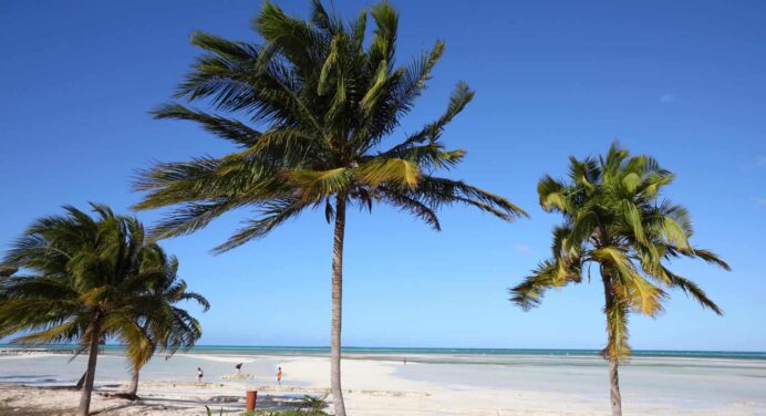 Nuevo Hotel de Muthu Hotels Inicia sus Operaciones en Jardines del Rey