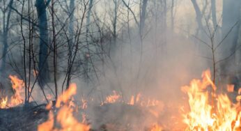 Nuevo Incendio Forestal de Grandes Proporciones en el Oriente de Cuba