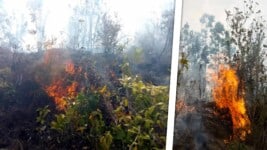 Nuevo Incendio Forestal en Viñales Alarma a Pinar del Río Mientras Otro Sigue Activo
