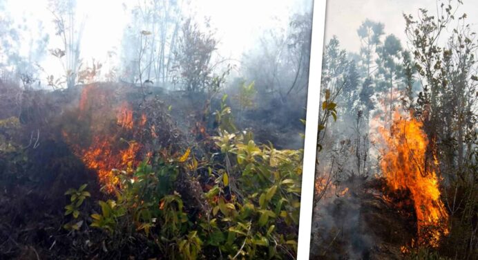 Nuevo Incendio Forestal en Viñales Alarma a Pinar del Río Mientras Otro Sigue Activo
