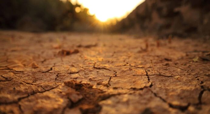 Nuevo Producto del Seguro para Sector Agropecuario en Cuba