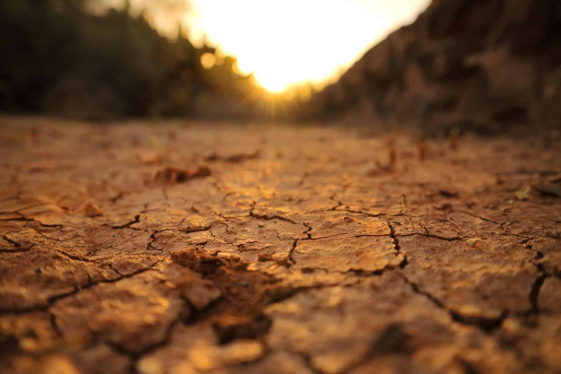 Nuevo Producto del Seguro para Sector Agropecuario en Cuba