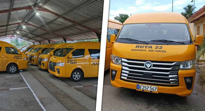 Nuevos Microbuses Circularán por Estas Provincias de Cuba: Conoce Rutas Horarios y Precios