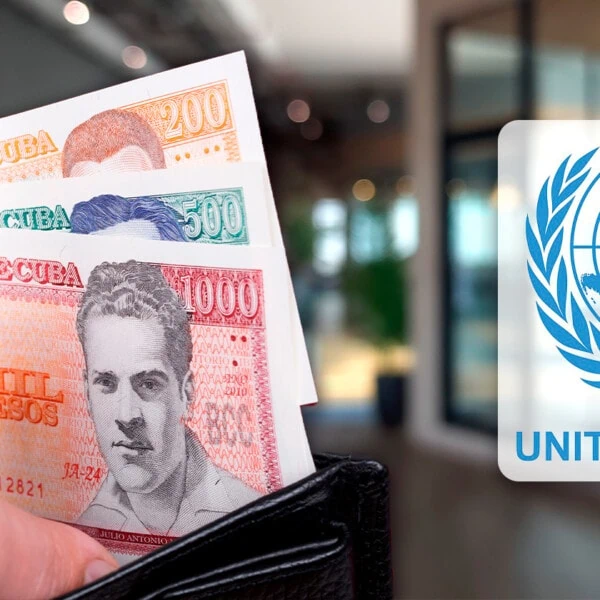 Oficina Cubana del Fondo de Poblaciones de las Naciones Unidas Lanza Convocatoria de Empleo