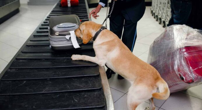 Abren Oficina para Combatir el Narcotráfico y el Crimen Organizado en Cuba