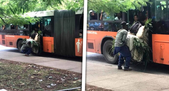 Viral en Redes Sociales Ómnibus Habanero que Cargó una Carretilla de Once Sacos ¿Qué Ocurrió con el Chofer?