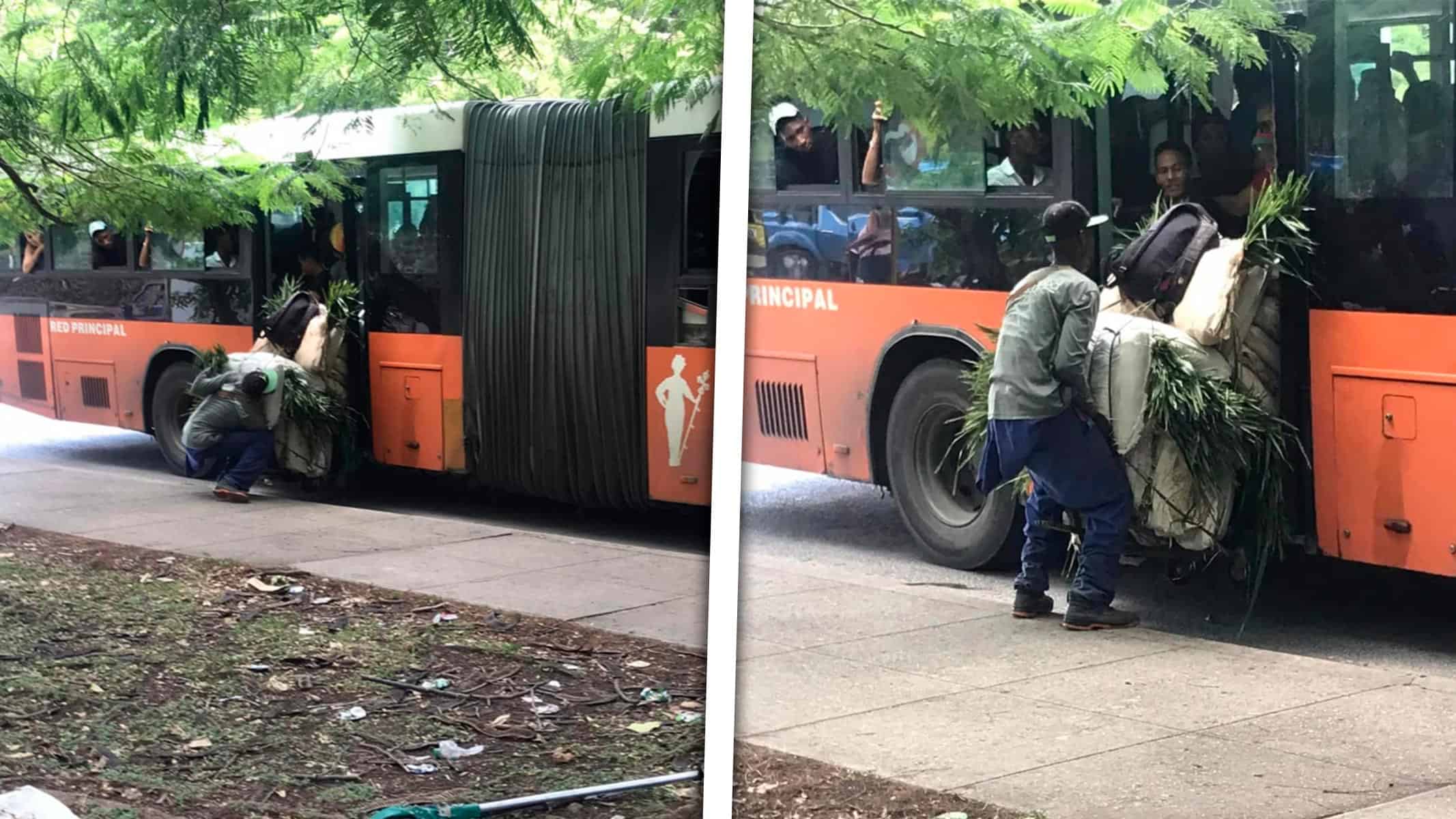 Viral en Redes Sociales Ómnibus Habanero que Cargó una Carretilla de Once Sacos ¿Qué Ocurrió con el Chofer?