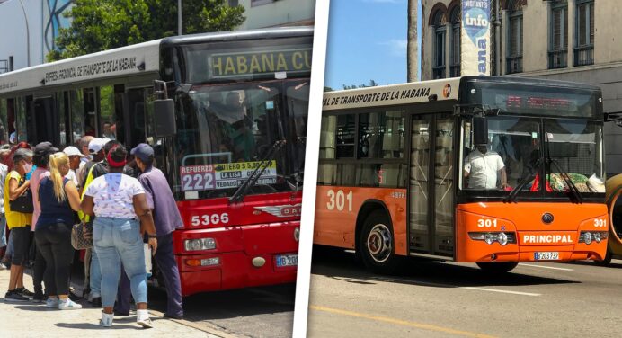 Ómnibus Retoman Circulación por Esta Zona de La Habana