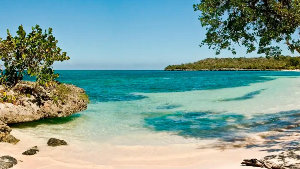 Opiniones de visitantes y reseñas 