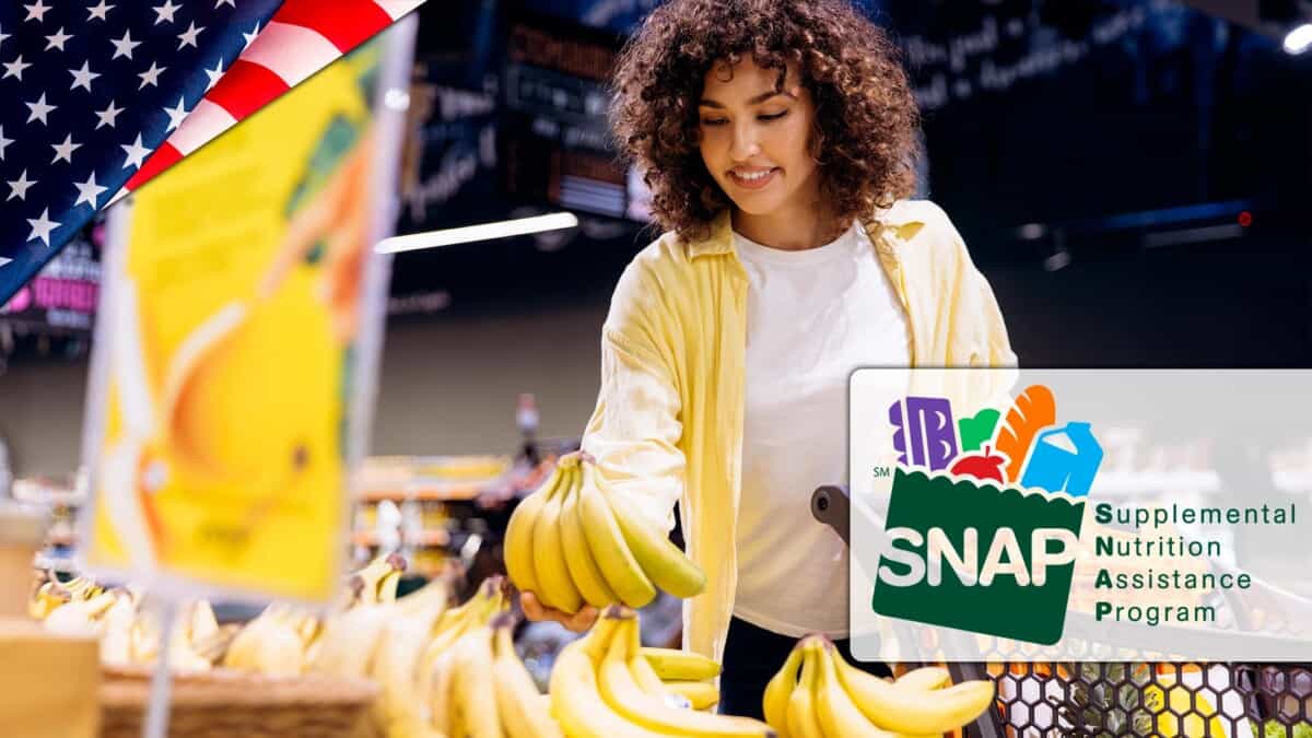 Pagos SNAP en Diciembre: Calendario Actualizado y Fechas Confirmadas por Estados