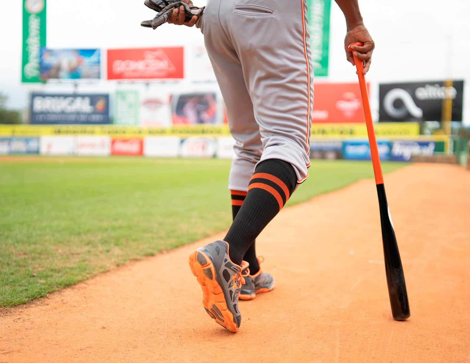 Pelotero Cubano Jugará en la Liga de Béisbol Profesional de República Dominicana