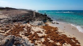 Playa Coral