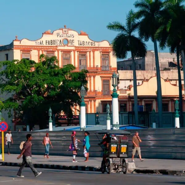 Plazas Vacantes en Instituciones de La Habana