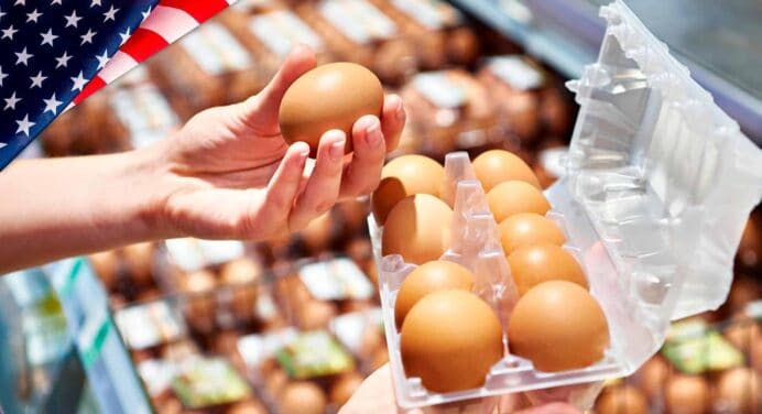 ¿Por qué los Huevos Están Más Caros que Nunca en EE.UU.? Descúbrelo Aquí