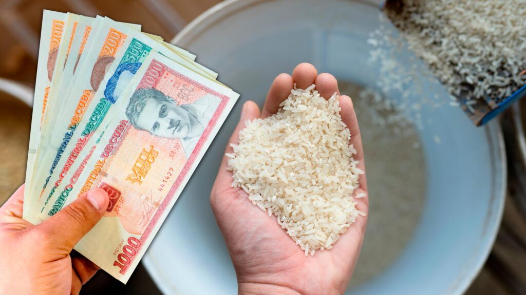 Precio del arroz por provincias según estadísticas gubernamentales