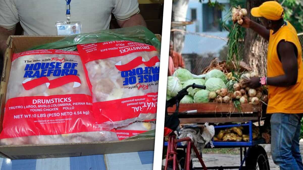 Precios de Alimentos en Cuba: Listado Actualizado Junio 2025