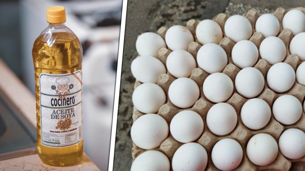 Precios del aceite y los huevos en Cuba en Diciembre 2025