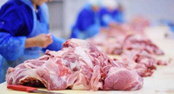 Preparan Segunda Planta Mexicana para Procesamiento de Carne en Cuba