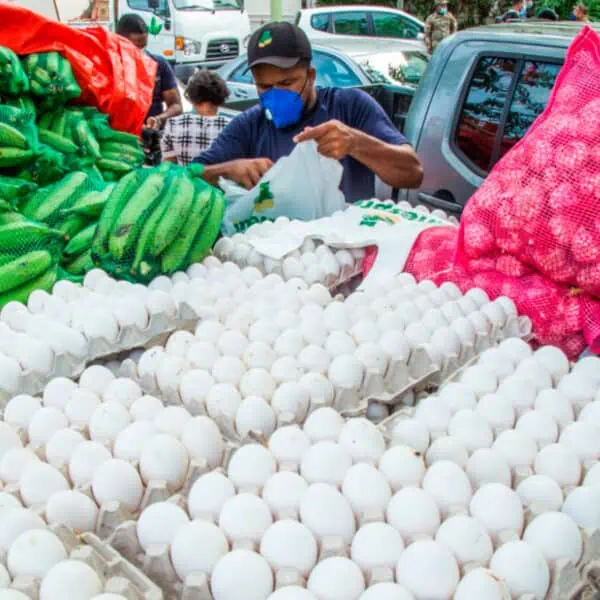 ¡Regresan los Huevos a Cuba! Ahora desde República Dominicana