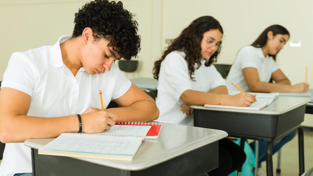 Proceso de postulación paso a paso