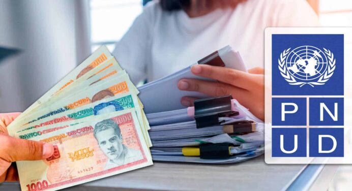 Trabajo en Cuba con Organismo Internacional: Programa de las Naciones Unidas Ofrece Vacante