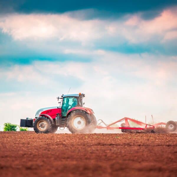 Proyecto Conjunto del Ministerio de la Agricultura con la FAO Favorece Sistema Agrario en Cuba