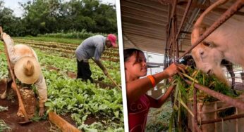 Proyecto Internacional Beneficiará a Medio Millón de Cubanos de Ocho Municipios del País