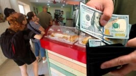 ¿Pueden las MIPYMES Privadas Cobrar en Dólares en Cuba? La Respuesta Real