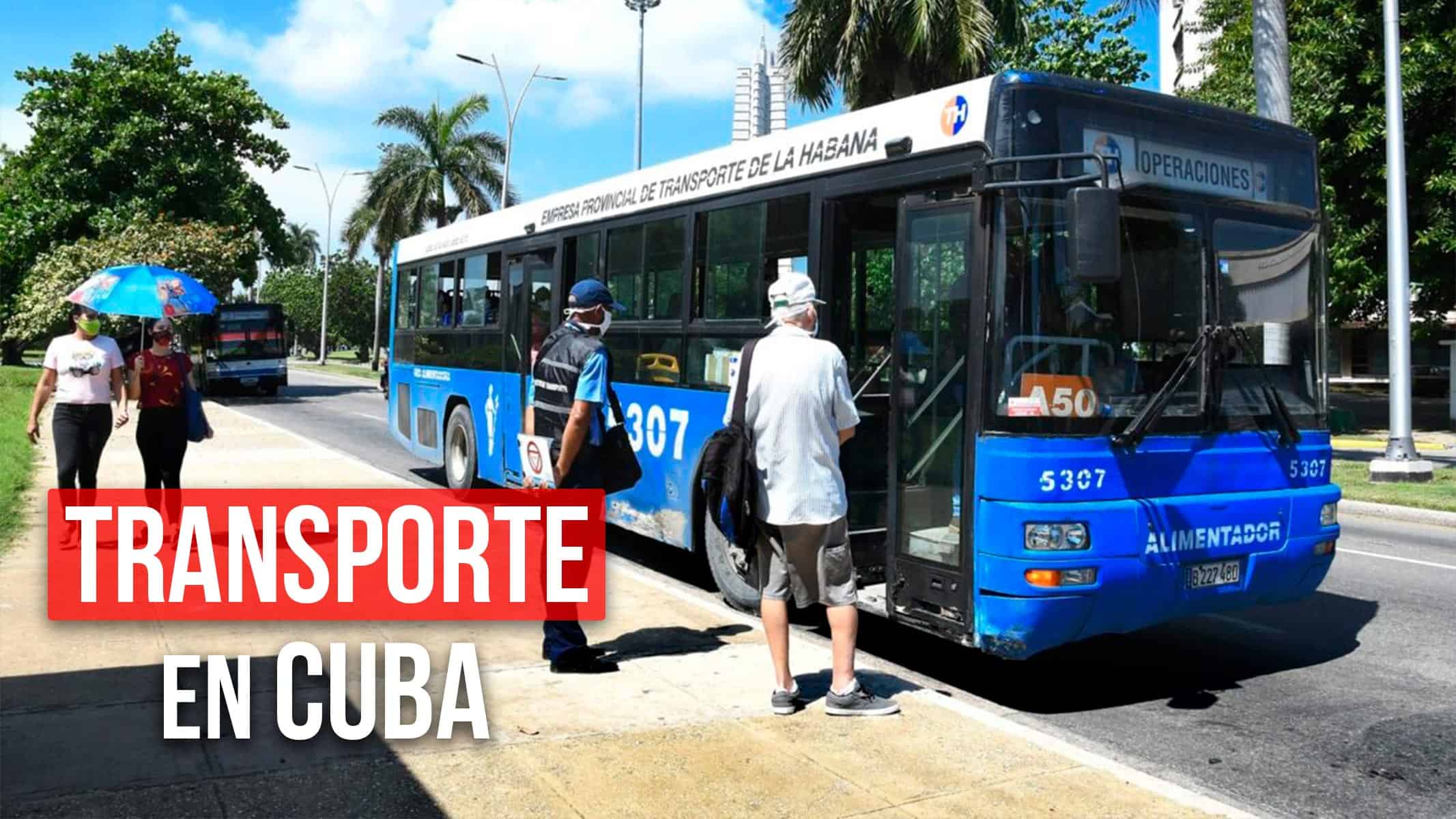 ¿Qué Está Pasando con el Transporte en Cuba? Revelan Cifras Alarmantes