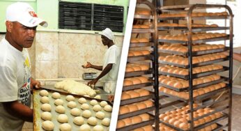 ¿Qué Pasará con la Producción de Pan de la Canasta en Cuba en Enero de 2024?