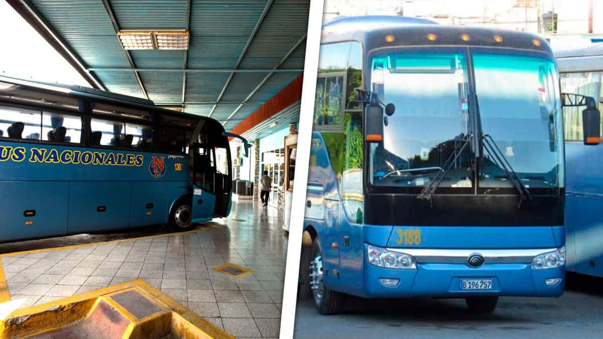 Transporte de Pasajeros en Cuba: ¿Qué Pasó en 2024 con la Empresa de Ómnibus Nacionales?