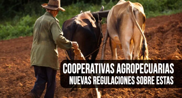 ¿Qué dice el Nuevo Decreto sobre Cooperativas Agropecuarias en Cuba?