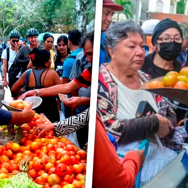 Realizarán Ferias Agropecuarias en Municipios de La Habana: Este es el Listado de Precios de los Productos