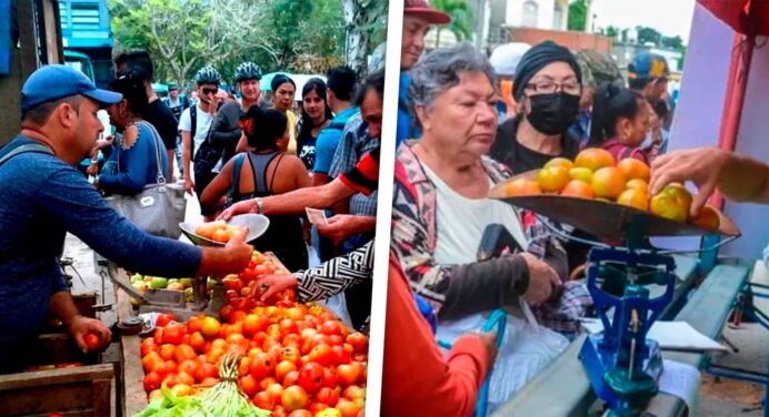 Realizarán Ferias Agropecuarias en Municipios de La Habana: Este es el Listado de Precios de los Productos