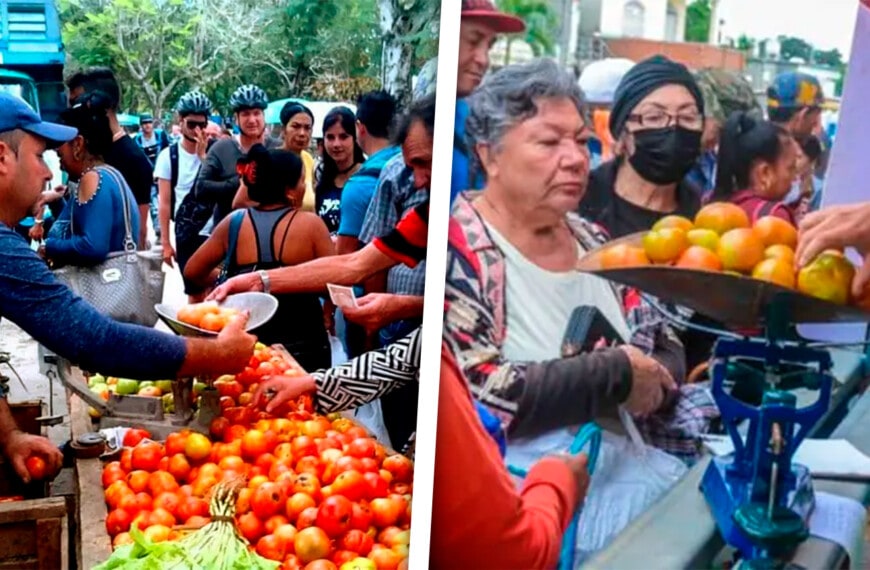 Realizarán Ferias Agropecuarias en Municipios de La Habana: Este es el Listado de Precios de los Productos